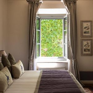 Premium Deluxe Double Room